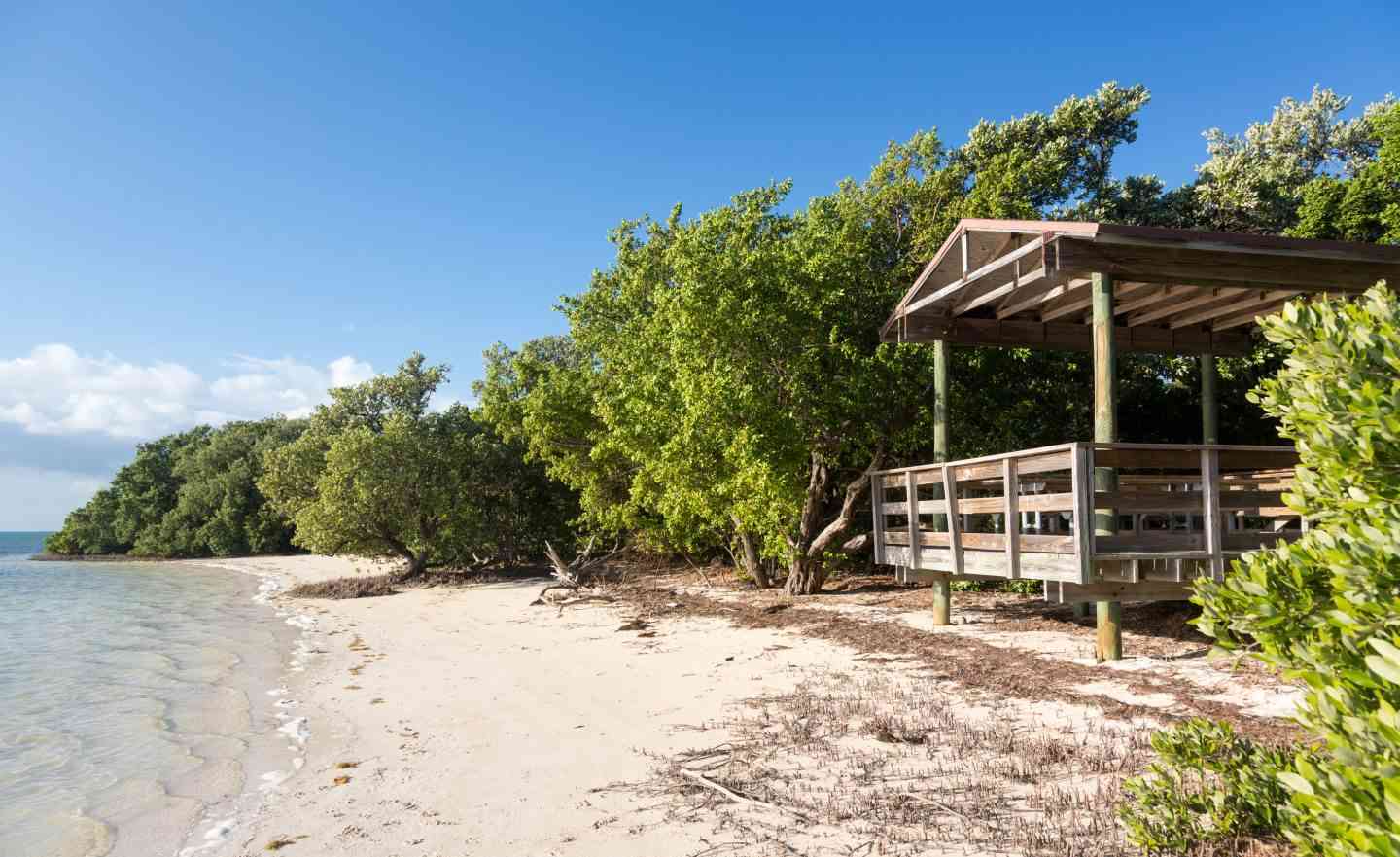 Do You Need a Car in the Florida Keys?