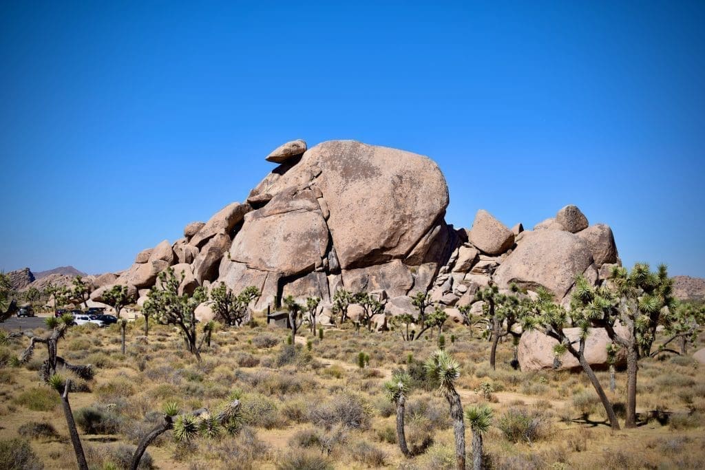 Joshua Tree - Cap Rock