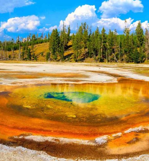 Can you visit Yellowstone without a tour?