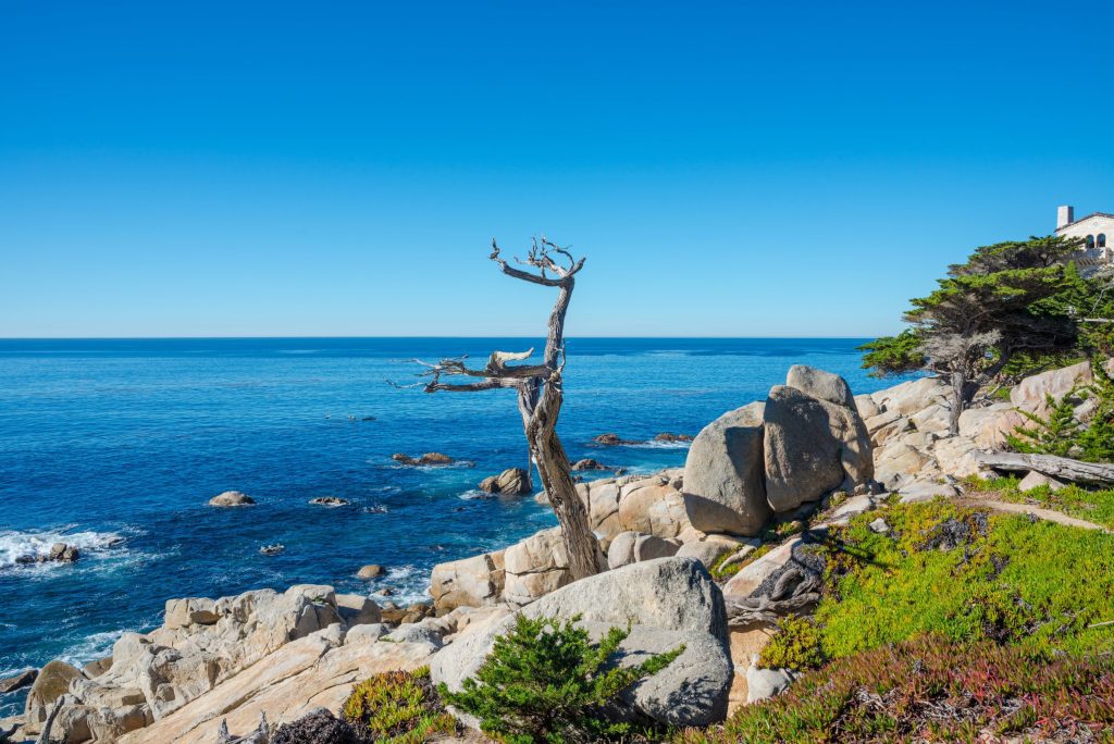 How Long Does It Take to Visit 17 Mile Drive?