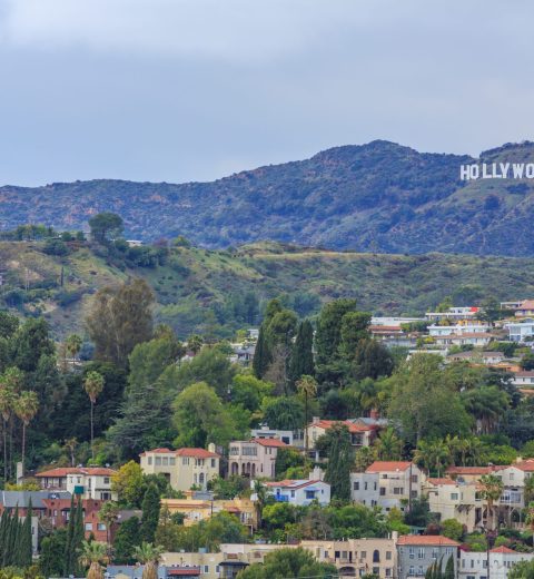 Where do most Hollywood celebrities live?