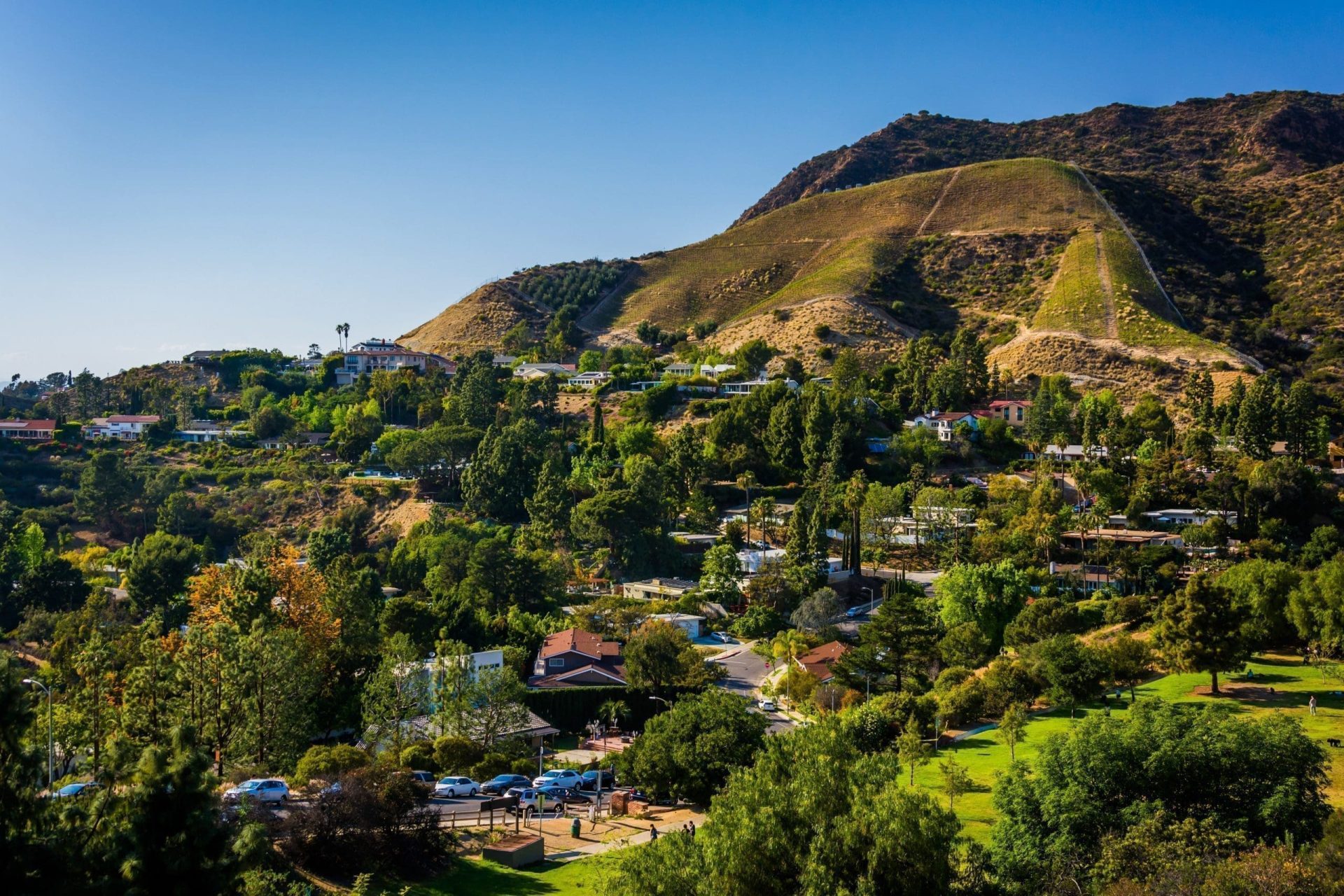 Where Can I See Celebrity Homes in Hollywood?