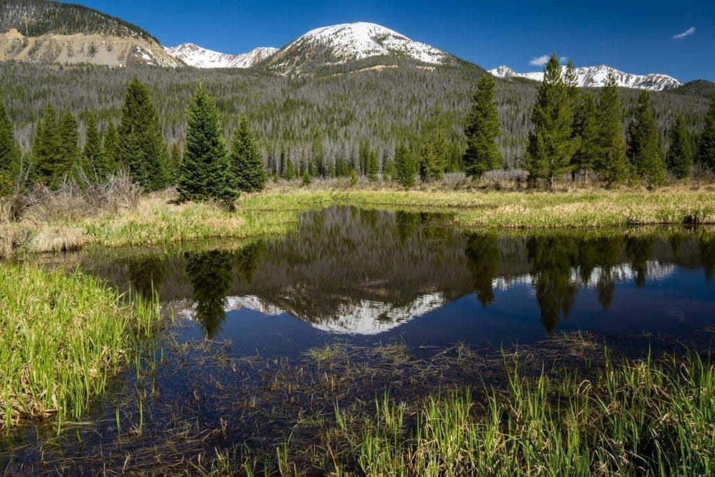 Rocky Mountains - Beaver Pond