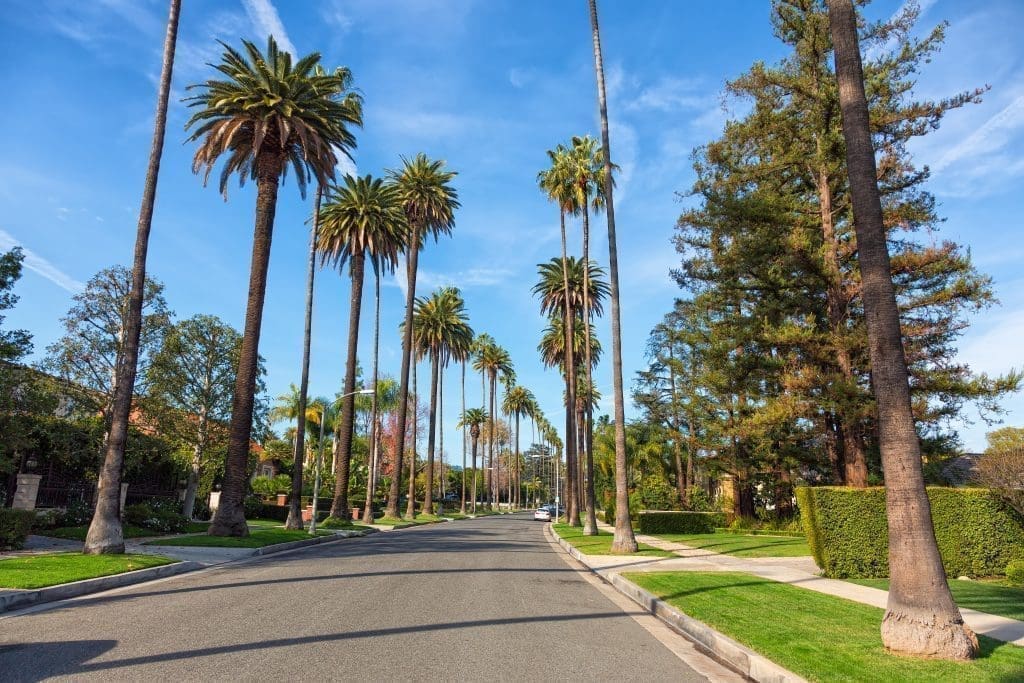 Hollywood - Beverly Hills street with palm trees
