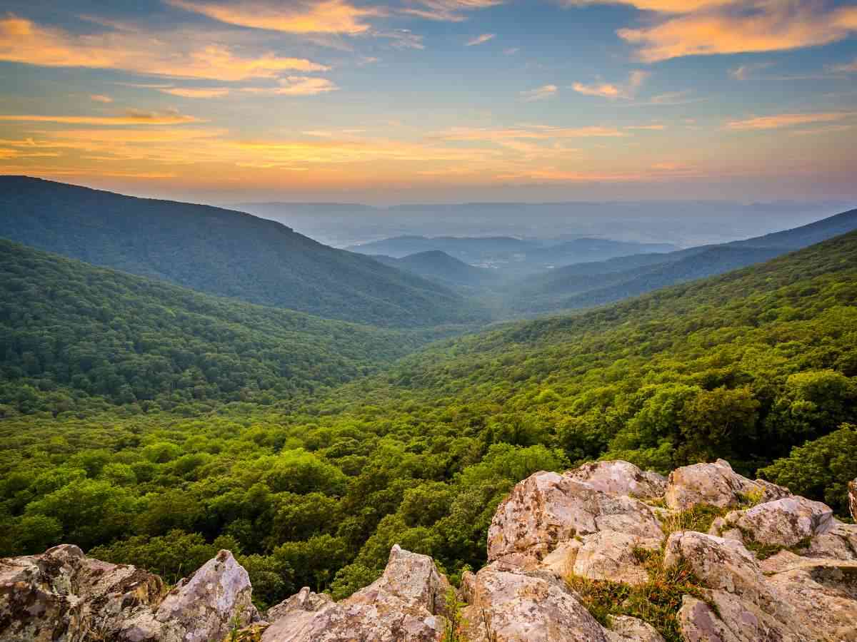 What is so special about Shenandoah National Park?