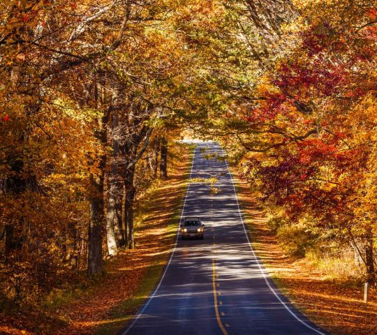 Shenandoah National Park Self-Guided Driving Tour