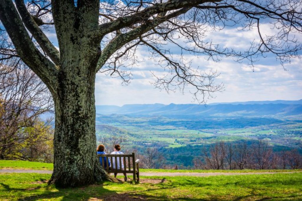 What City is Shenandoah National Park Near?