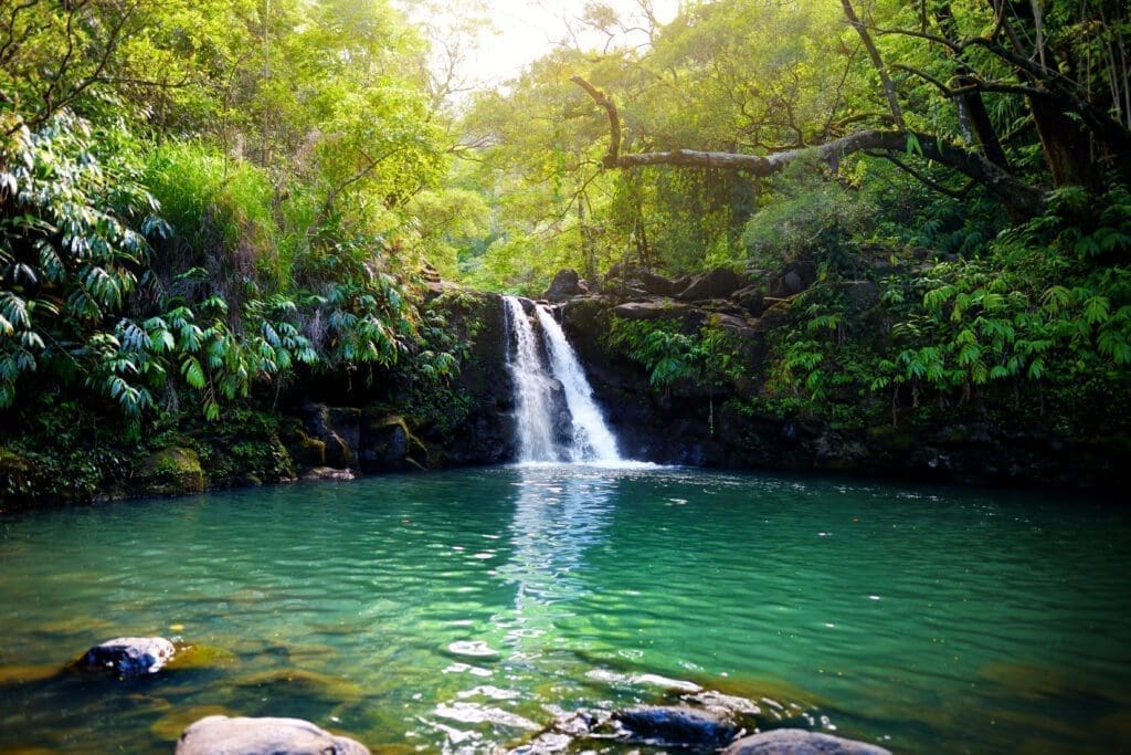 Road to Hana - Lower Waikamoi Falls