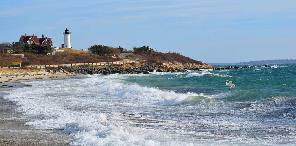 Cape Cod