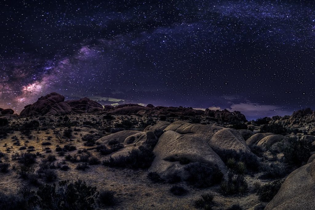 Can You See the Milky Way From Joshua Tree?