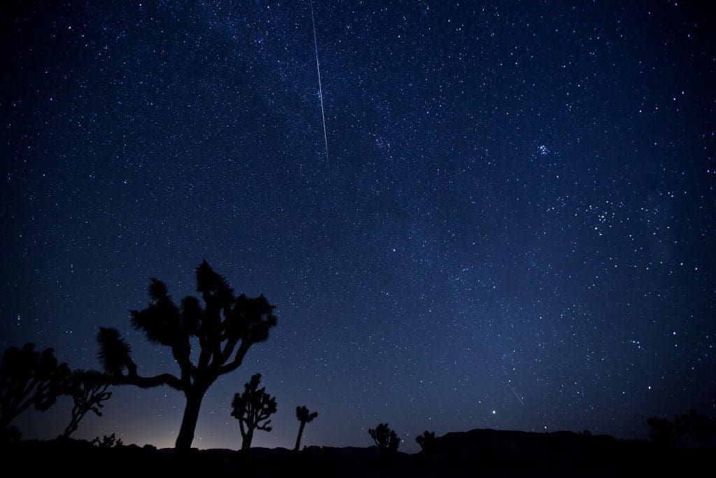 Joshua Tree - Perseid Meteor Shower