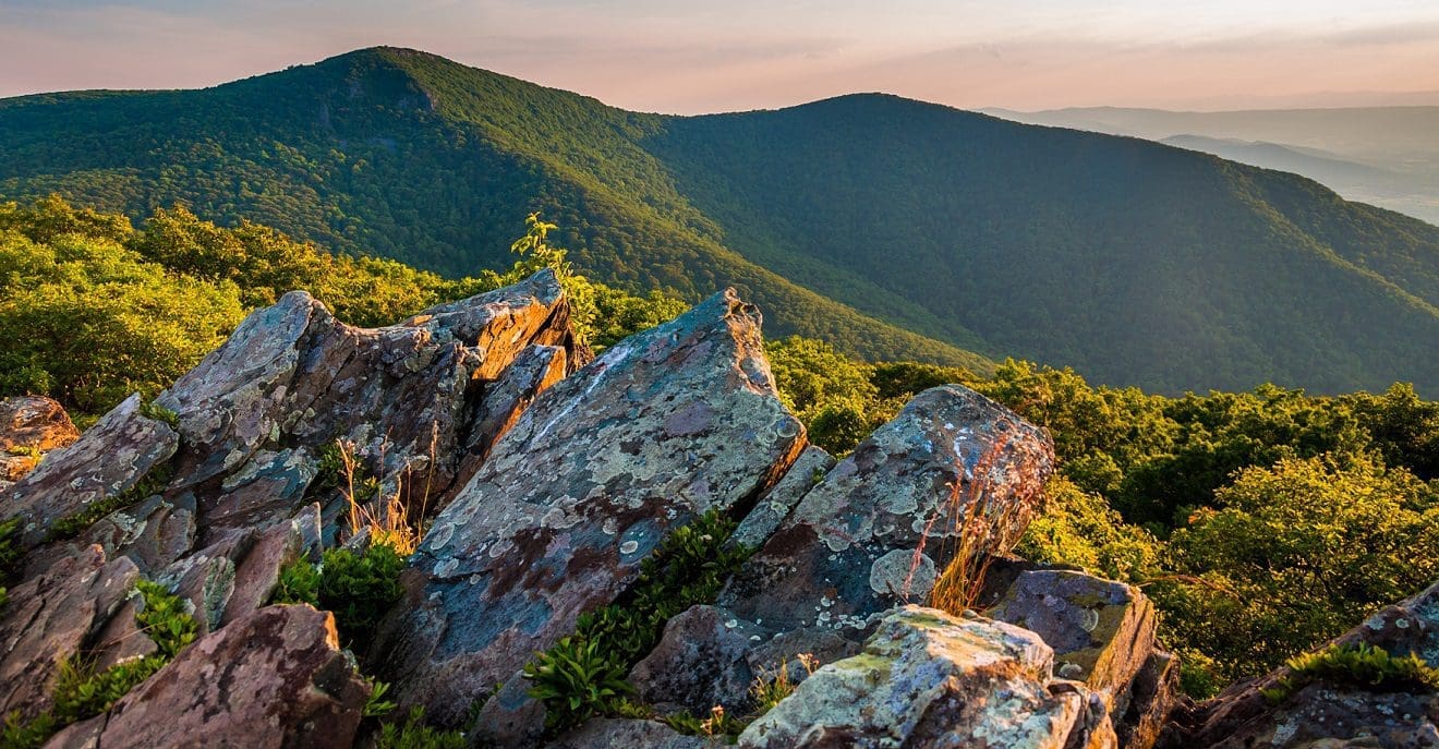 What is the Highest Point in Shenandoah National Park?