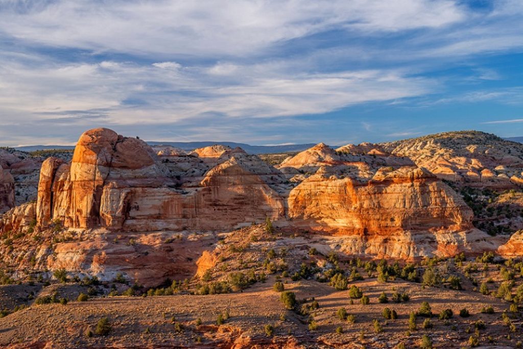 Are dogs allowed at the Grand Staircase Escalante National Park?