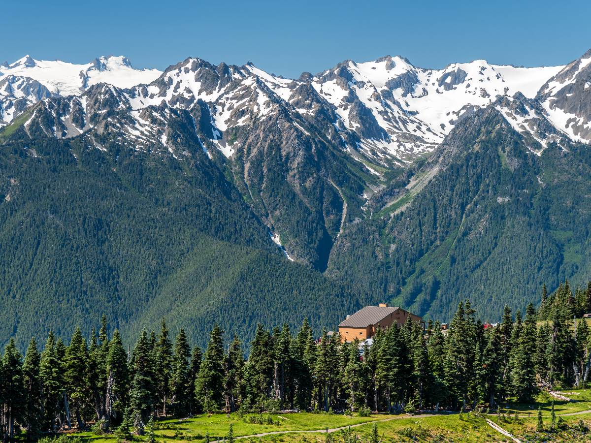 Olympic National Park Self-Guided Driving Tour