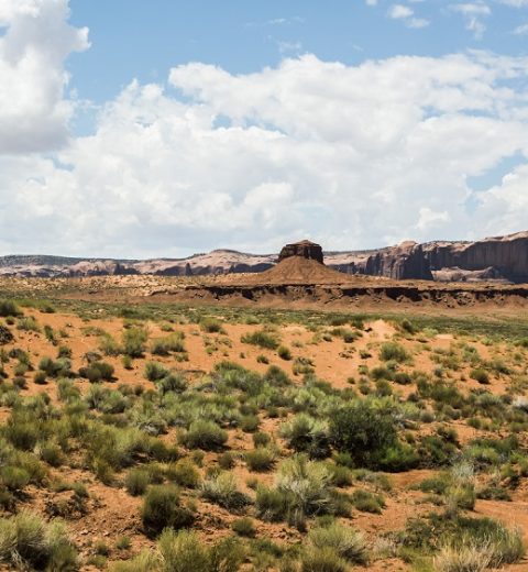 Where is Arches National Park?
