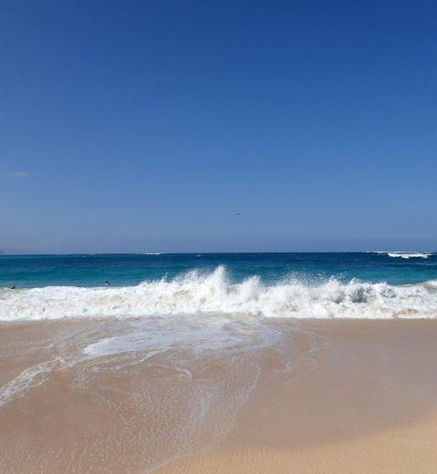 Which Kama’ole Beach is Best for Swimming?