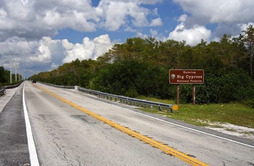 Big Cypress Florida Self-Guided Driving Tour