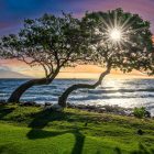 Can you do a day trip to Kauai?
