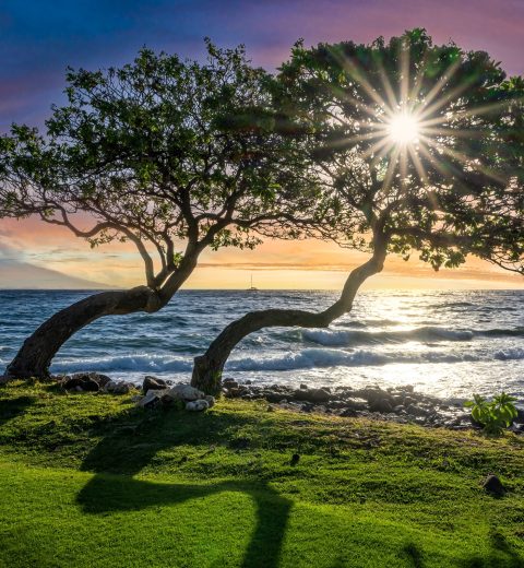 What Is the Best Time of Year to Visit the Big Island of Hawaii?
