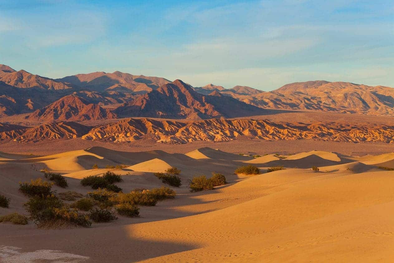 Does Life Exist in Death Valley?